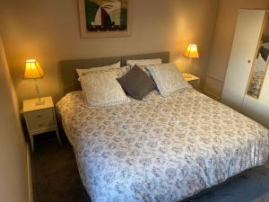 a bedroom with a bed with pillows and two lamps at The Blue Lodge in Galway