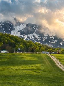 a field with a snow covered mountain in the background at Zov planine in Žabljak