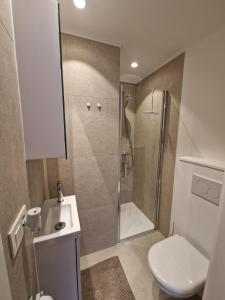 a bathroom with a shower and a toilet and a sink at Studio Kortrijk in Kortrijk