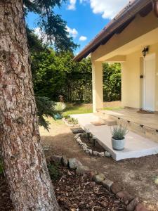 a bench in front of a house with a tree at Ezüstfenyő vendégház in Balatonalmádi