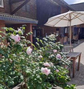 a bush of pink roses next to a table and an umbrella at Zimmer auf Bauernhof in Kürten