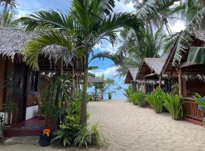 a resort with a palm tree in the middle of a beach at Zhaya's Beachfront in El Nido