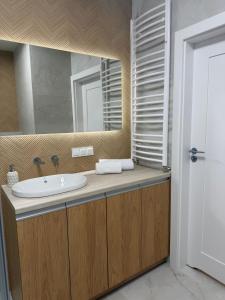 a bathroom with a sink and a mirror at Moon&Mori in Augustów +14 photos