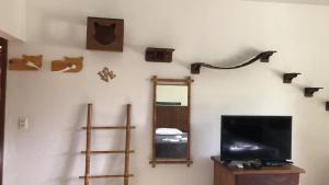 a room with a television and a mirror and shelves at Pousada Portal do Cacau-Petfriendly in Camburi