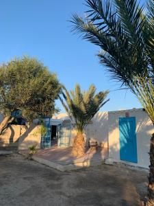 a house with a palm tree in front of it at El Baraka in Houmt Souk