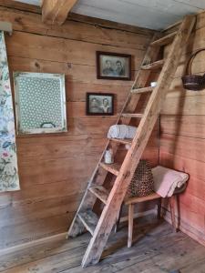a ladder in the corner of a room with wooden walls at Siedlisko Leśny Jaśmin in Łuka