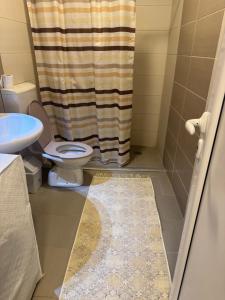 a bathroom with a toilet and a shower curtain at Studio Maša in Zaječar