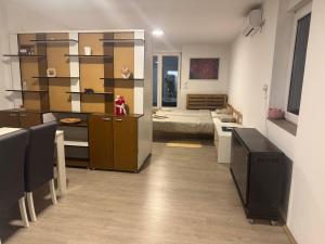 a room with a kitchen and a bedroom at Studio Maša in Zaječar