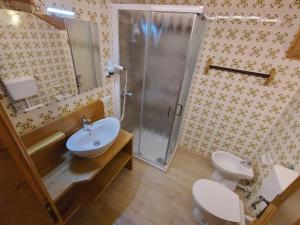 a bathroom with a shower and a sink and a toilet at La Pineta Apartment in Padola +16 photos