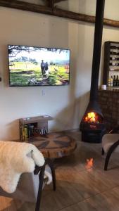 a living room with a fireplace and a flat screen tv at Pousada requinte serrano in Urubici