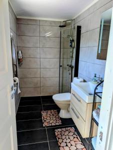 a bathroom with a shower and a toilet and a sink at Hindås stuga in Hindås +16 photos
