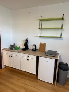 a kitchen with a counter and a sink and a shelf at Münchberg Ferienwohnung, Monteurszimmer in Münchberg