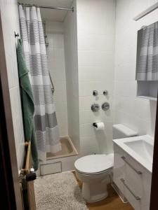 a bathroom with a toilet and a shower and a sink at Münchberg Ferienwohnung, Monteurszimmer in Münchberg