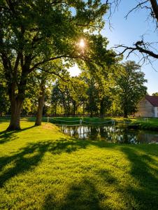 a pond in a park with the sun shining through trees at Agroturystyka Pod Dębem in Czyżówek