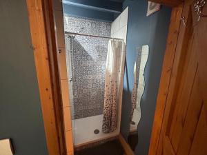 a shower with a glass door in a bathroom at Cobblers Lodge in Somersham