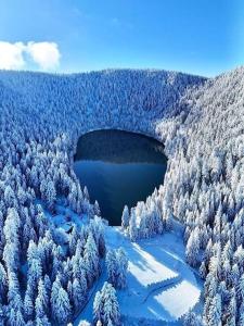 an aerial view of a snow covered forest with a lake at Gîte la ruelle in Remiremont