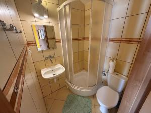 a bathroom with a shower and a toilet and a sink at Villa Alexandria in Darłówko +31 photos