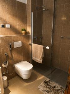 a bathroom with a toilet and a glass shower at Villa Igalo Splitska - Private Pool & Sea View in Splitska +14 photos