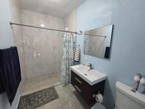 a bathroom with a sink and a shower with a mirror at Puntilla Aparments in Catano +8 photos