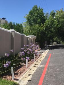 uma estrada com flores roxas ao lado de uma cerca em 9 Ripelby na Cidade do Cabo