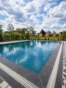 a large swimming pool with blue water at The Lazymojo in Tāla