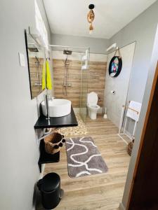 a bathroom with a shower and a sink and a toilet at Chalet du Soleil in Pointe-Noire +11 photos
