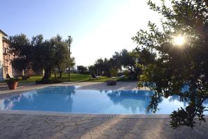 a swimming pool in a yard with trees at Agriturismo Le Carolee in Pianopoli