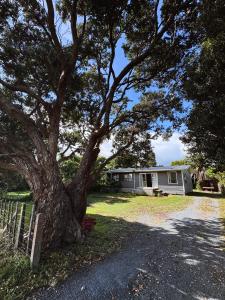 a large tree in front of a house at The Bach at One Tree Point in One Tree Point