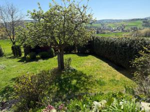 a tree in a field next to a stone wall at Apartment im Heidchen in Knüllwald +9 photos