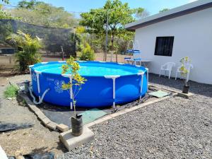 a blue tub in a yard next to a house at El Gato de la Jungla in Lagunillas