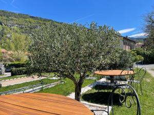 a wooden table and a tree in a park at GITE chez "Chambre D'Hôtes Sandra" in Annot +26 photos