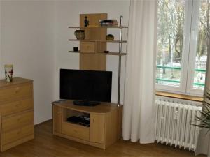 TV a/nebo společenská místnost v ubytování Apartment U Luny