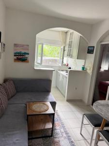 a living room with a couch and a table at Apartman Dunjićeva in Kotor +10 photos