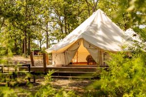 a tent in the middle of a forest at Chic Glamping Tent with Firepit in Branson