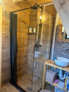 a shower with a glass door in a bathroom at Villa Aleksandra in Žabljak +64 photos