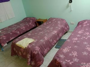 two beds in a room with purple blankets at Hospedaje DON MANUEL in Paso de Indios