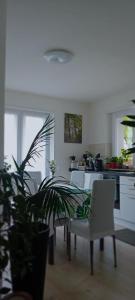 a kitchen with a table and chairs and a plant at Appartment Lodged Mamma Maria in Mattarello