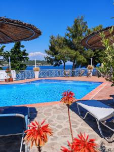 a large swimming pool with chairs at Oneiro glico in Agia Marina Aegina