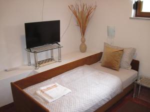 a living room with a couch with a television on a desk at Apartment Yasica in Izačić
