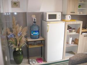 a small kitchen with a bottle of water and a microwave at Apartment Yasica in Izačić