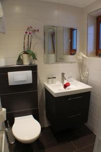 a bathroom with a sink and a toilet and a mirror at Appartment Bergheim in Umhausen