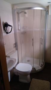 a bathroom with a shower with a toilet and a sink at Landhaus Meyer in Riefensbeek