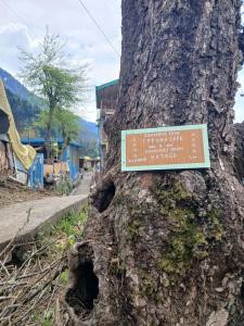 a sign on the side of a tree at Dormitory Hatago in Vashisht