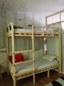 a couple of bunk beds in a room at Dormitory Hatago in Vashisht
