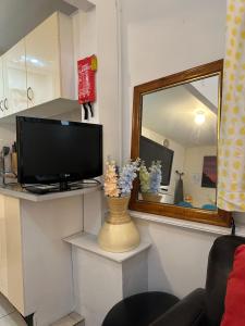 a living room with a television and a vase with flowers at Manly Beach Studio in Sydney