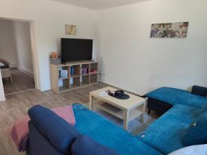 a living room with a blue couch and a tv at tierfreundliche Ferienwohnung in Adamshoffnung