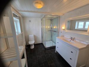 a bathroom with a shower and a sink and a toilet at Fiskehuset Havnes in Averoy +9 photos