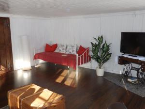 ein Wohnzimmer mit einem roten Sofa und einem Flachbild-TV in der Unterkunft Ferienwohnung Nina in Bildstein
