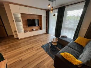 a living room with a couch and a tv at Apartament Calisia in Kalisz