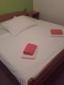 Un pat sau paturi într-o cameră la Hotel Anna